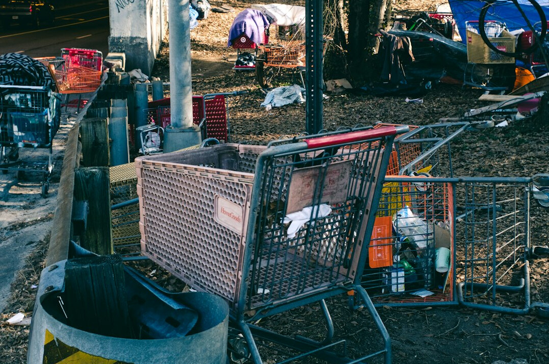 shopping cart full of items